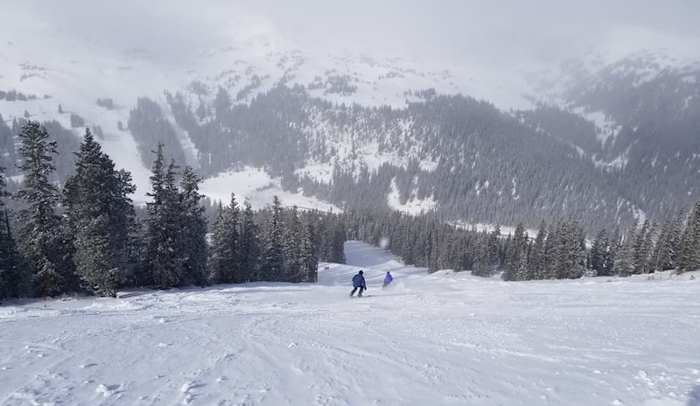 At least for now, Kevin Williams has found new ways to spend his Sunday afternoons.